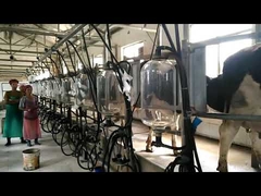 milking parlor