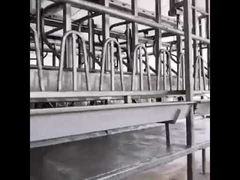 Dairy Farm Equipment Sheep Milking Parlor Easy to operate