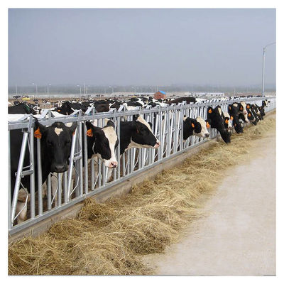 Hauptverschluß der Kuh-1.2m/Cow
