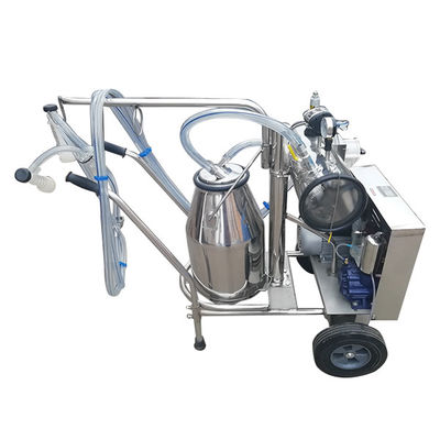 automatische Schafmilch-Ausrüstung der Milch-24cows/H der Maschinen-SS304