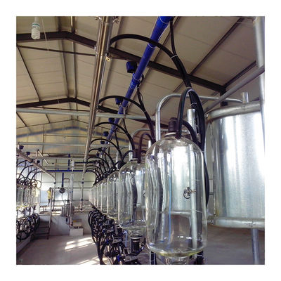 Fischgrätenmuster SS304, das Hall PVC-Rohrleitung Ähnlichkeits-Melkwohnzimmer milk
