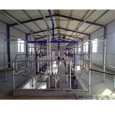 Wohnzimmer des Fischgrätenmuster-SS304, das System-Milchkuh-Ausrüstung milk