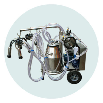 2 Eimer 220L/Min Cow Farm Milk Machine 24 Kühe pro Stunde