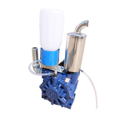 Dreh-Vane Vacuum Pump Compact Art 1400Rpm 1.1Kw