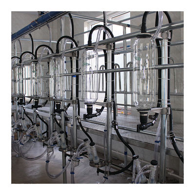 Parallele Linien 20T-/Hfischgrätenmuster-Melkwohnzimmer-automatische Milch-Maschine