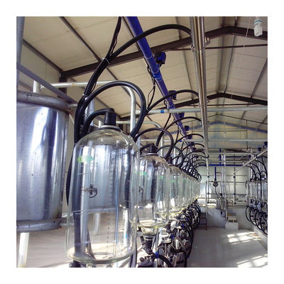 Glasgefäß-Fischgrätenmuster-Art Kuh-Melkwohnzimmer-automatisches Melksystem