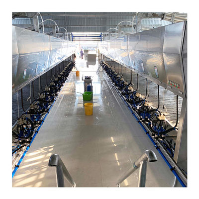 Automatische parallele Kuh-Fischgrätenmuster-Melkwohnzimmer-schnelle Freigabe