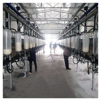 Fischgrätenmuster-Melkwohnzimmer 380v 7.5kw für Ziegenbauernhof