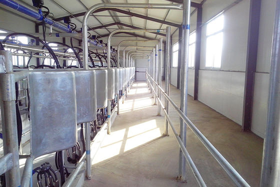 Paralleles schnelle Freigabe-automatisches Kuh-Melkwohnzimmer-elektrisches Milch-Meter