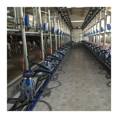 Arbeitsfischgrätenmuster-Melkmaschine des vakuum50kpa 2.2kw für Molkerei