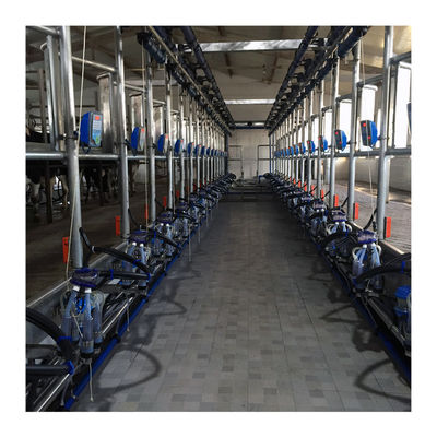 Arbeitsfischgrätenmuster-Melkmaschine des vakuum50kpa 2.2kw für Molkerei