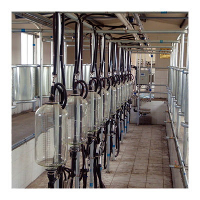 Großes Fischgrätenmuster-Milch-Wohnzimmer der Stall-110v 20 für die Kuhmilch