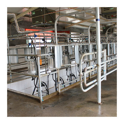 Großes Fischgrätenmuster-Milch-Wohnzimmer der Stall-110v 20 für die Kuhmilch