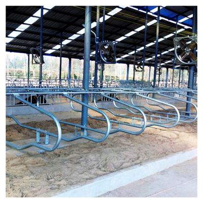Stall-Scheunen-Rost-Beweis der Höhen-95cm freier für Molkerei