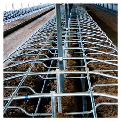 Stall-Scheunen-Rost-Beweis der Höhen-95cm freier für Molkerei