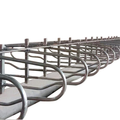 Simplex-ergonomische verbiegende Kuh-landwirtschaftliche Maschine-Vieh-freie Ställe