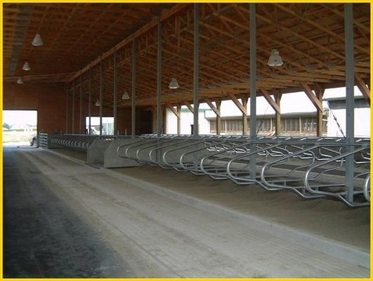 Kopf-an-Kopf- Art 1.30m/cow zäunen Cattle Free Stall mit veränderbarer Längeein