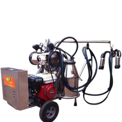 Eimer 220L/Min Portable Milking Machine Two elektrisch für Ziege