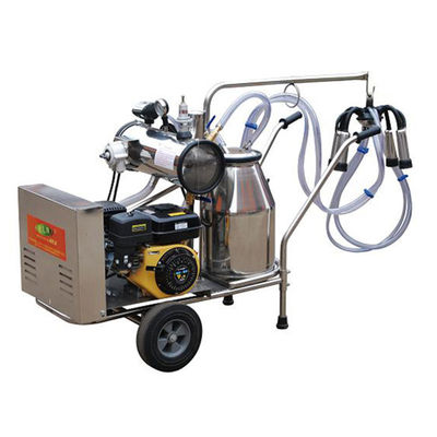 automatische Schafmilch-Ausrüstung der Milch-24cows/H der Maschinen-SS304