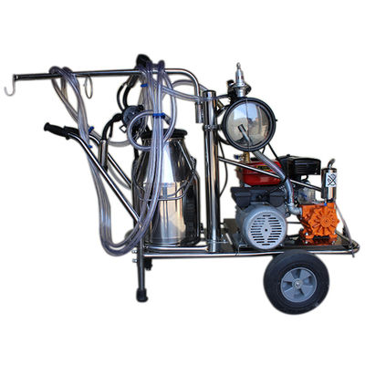 automatische Schafmilch-Ausrüstung der Milch-24cows/H der Maschinen-SS304