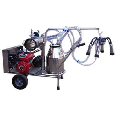 automatische Schafmilch-Ausrüstung der Milch-24cows/H der Maschinen-SS304