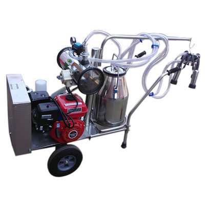 automatische Schafmilch-Ausrüstung der Milch-24cows/H der Maschinen-SS304