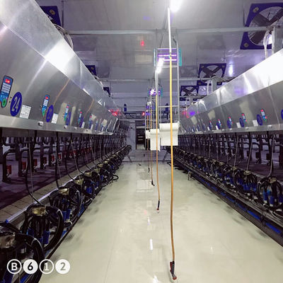 11kw paralleles Wohnzimmer des Vakuum3800l, das Systeme 128 Kühe pro Stunden milk