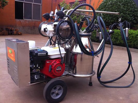 Tragbares Mobile-Melkmaschine des Nahrungsmittelgrad-SS mit Benzinmotor