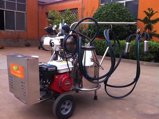 Tragbares Mobile-Melkmaschine des Nahrungsmittelgrad-SS mit Benzinmotor