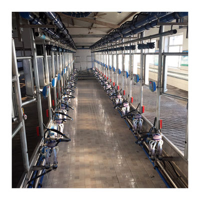 Fischgrätenmuster-Melkwohnzimmer-Kuhmilch-Saugmaschine der hohen Leistungsfähigkeits-4KW