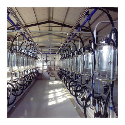 Wohnzimmer-Fischgrätenmuster-Art automatischen Melkens 380v 7.5KW