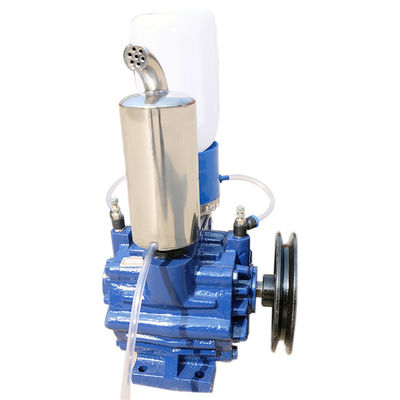 Flüssige Ring Single Stage Rotary Vane-Vakuumpumpe-elektrische Bremse
