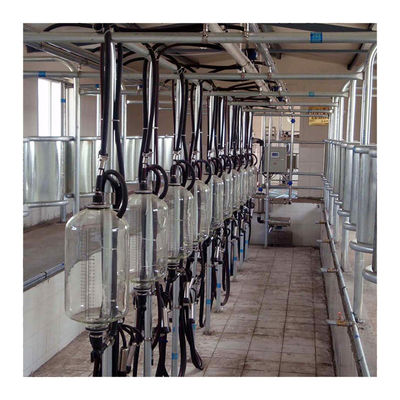 Fischgrätenmuster-Melkwohnzimmer der Molkerei-4KW mit Nahrungsmittelgrad-Glas