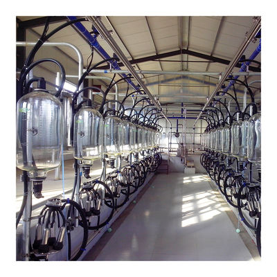 Fischgrätenmuster SS304, das Hall PVC-Rohrleitung Ähnlichkeits-Melkwohnzimmer milk
