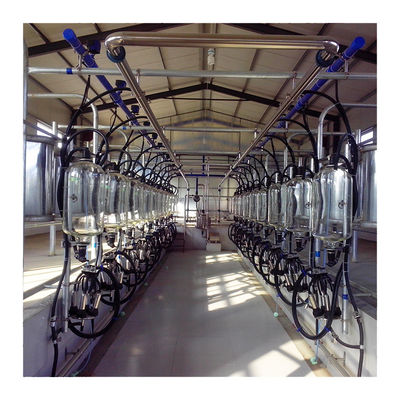 Fischgrätenmuster SS304, das Hall PVC-Rohrleitung Ähnlichkeits-Melkwohnzimmer milk