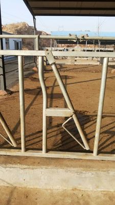 Kundengebundene heiße galvanisierte Kuh-Hauptverschluss-Bauernhof-Fütterungsausrüstung