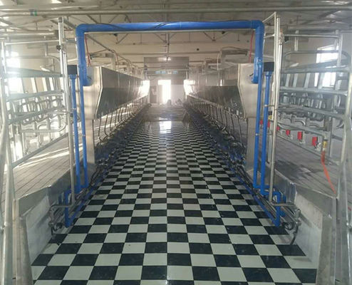 24-100 Punkt Fischgrätenmuster-Melkwohnzimmer-automatisches Kuh-Maschinen-System