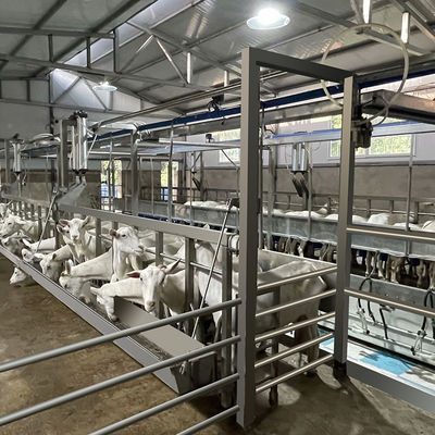 Bauernhof-Molkereihohe Produktivitäts-Melkwohnzimmer-Ausrüstungs-flexible Ziegen-Melkwohnzimmer