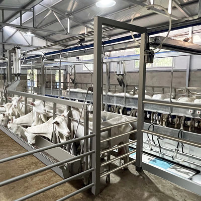 Fischgrätenmuster-Melkwohnzimmer-Futtertrog-schnelle Ausgangs-Art Rohrleitung der Ziegen-SUS304