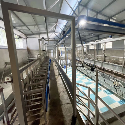 Fischgrätenmuster-Melkwohnzimmer-Futtertrog-schnelle Ausgangs-Art Rohrleitung der Ziegen-SUS304