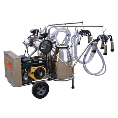 10-12 Cows-/Hkamel-Ziegen-Kuh-Melkmaschine elektrisch betrieben
