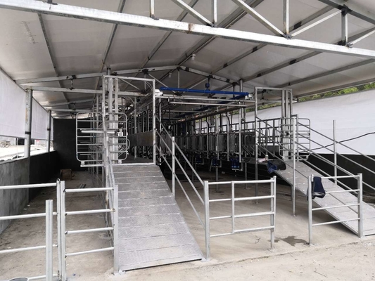 Molkerei-Ziegen-Melkmaschine-Edelstahl, der System milk