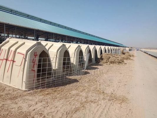 Viehbestand ISO-Plastikkalb schützt Polyhauben-Kalb-Kaninchenstall